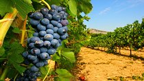 3-Days Tour to discover Western Sicily: Culture, Colors & Flavors, from Palermo