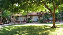 Fully Inclusive The Israeli Kibbutz Experience