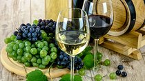 Évora - Inside the Olive Oil, Wine, and Cork Triangle (Private Tour)