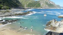The Garden Route from Port Elizabeth to The Crags - FD07