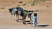 4 Days Hiking To Desert
