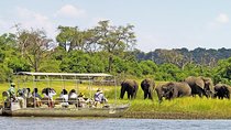 Explore Chobe National Park With a Day Trip from Victoria Falls