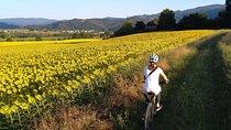 Land of painters - the origins of the Tuscan landscape