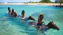 Jamaica Zipline and Horseback Ride n Swim Adventure Tour from Ocho Rios