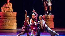 VIP Seated Kungfu Show With Dinner Option and Transportation