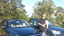 Auckland Airport and City Transfers (To or from)