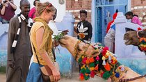  Nubian Village Excursion from Aswan