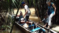Upper Mekong River - My Tho - Ben Tre full day trip