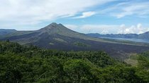 Best of Ubud - Kintamani Volcano View - Private Tour