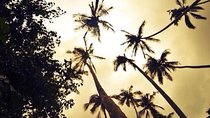 Zanzibar Aromatic Spice Farms Tour
