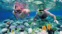 Gate Heaven Tirta Gangga With Snorkeling Private Guided Tour 