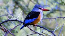 Three Days Safari: Lake Manyara-ngorongoro Crater (classic)
