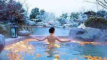 Xitang Water Town Private Tour from Hangzhou with Hot Spring Experience