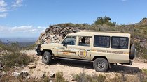 Addo Elephant National Park 4x4 Tour Kabouga Section - An Amazing Diversity FD05