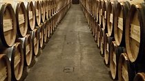 Luxury La Rioja Wineries Private Tour