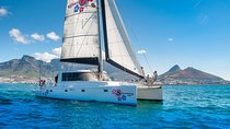 Champagne Cruise (Pre-Sunset) from Cape Town