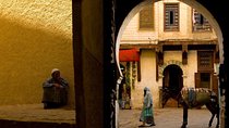 Fez in One Day Sightseeing Tour