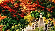 Beijing Private Tour to Fragrant Hill and Temple of Azure Clouds with Cable Car