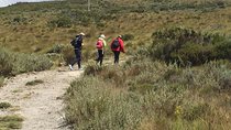 Mt Kenya Day hike from Nairobi
