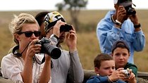 Masai Mara & Lake Nakuru Safari tour: 4-Day Kenya Adventure