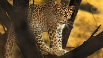 Private Full Day Outdoor Activities in Jaipur with Tickets