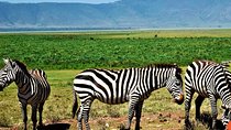 3 Days Tanzania Safari