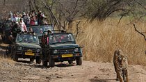 Five Days Golden Triangle Tour with Ranthambore Delhi Agra Jaipur