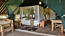  07 Days Kenya Midrange Lodges Safari