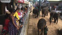 Sri Lanka round tour