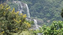 6 Days Safari to Udzungwa Mountain NP, Ruaha NP and Mikumi NP 