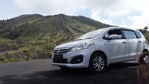 Bali Private Car or Minibus Charter With Driver