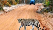 2 Days Tour of Double Safari (Yala & Udawalawe) - All Inclusive