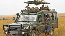 Masai Mara Transfer From Nairobi on 4 X 4 Toyota Land-Cruiser - Daily Departures