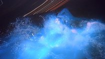 Luminous Lagoon Night Tour from Montego Bay