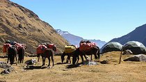 Salkantay Trek Private Service