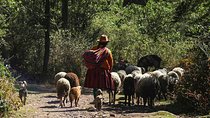 Lares Trek Private Service
