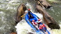 Private Vehicle/Day tour of Kandy to kithulgala adventure