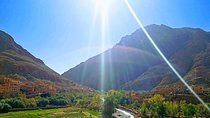 Shared day trip to Ourika