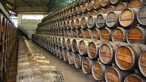 Private Special Tour Around Lisbon and Wine Tasting