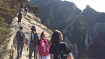 Hike at Mt. Bukhansan National Park with professional Guide(including Lunch)