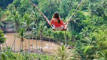 Bali Swing and Waterfall Tour
