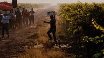  Traditional Wine Tour in Viña Cousiño Macul Official English