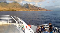 Ma'alaea Premium Dinner Cruise: Four Course Dining Experience