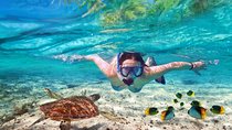 Koh Madsum (Pig island) and Koh Tan Day Tour from Koh Samui