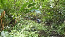 Natureworld St. Lucia hiking trail