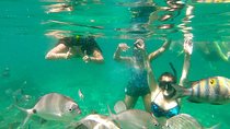 Trindade Fishing Village, Beach Trek and Snorkeling Tour