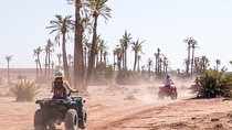 Adventure Quad Bikes 2 hours