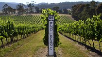 Ultimate Yarra Valley Chandon, Soumah & De Bortoli Cheese & Wine 