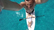 Stand Up Paddle (SUP) board rental
