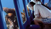 Submarine Excursion in Sharm El Sheikh